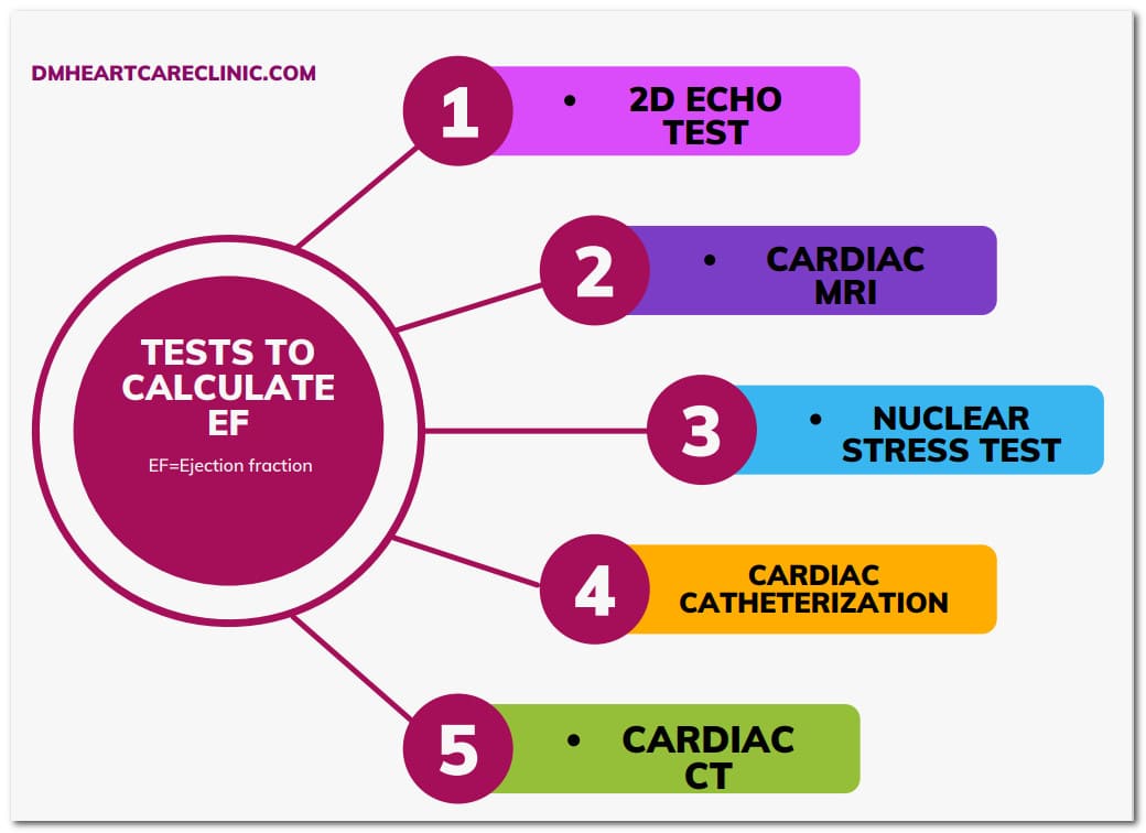cardiac Tests to calculate ejection fraction of the heart