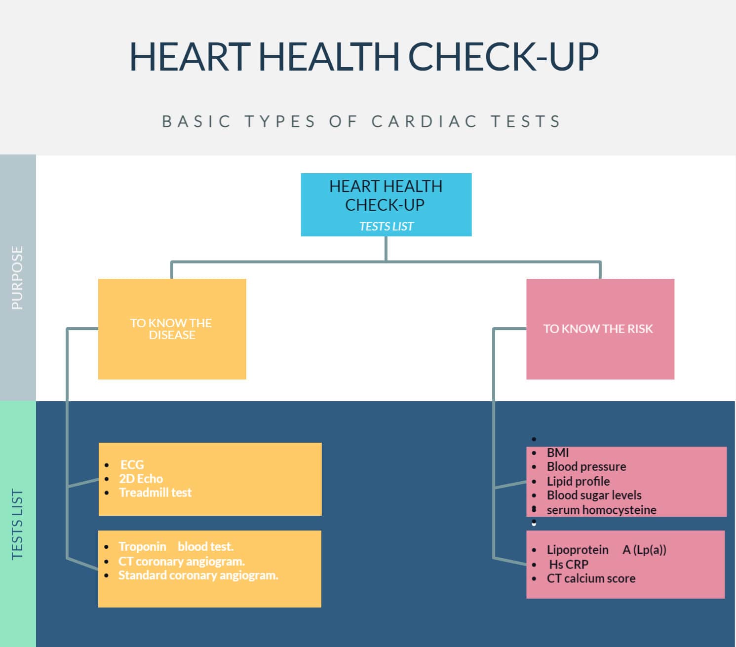 HEART HEALTH CHECKUP PACKAGES IN HYDERABAD