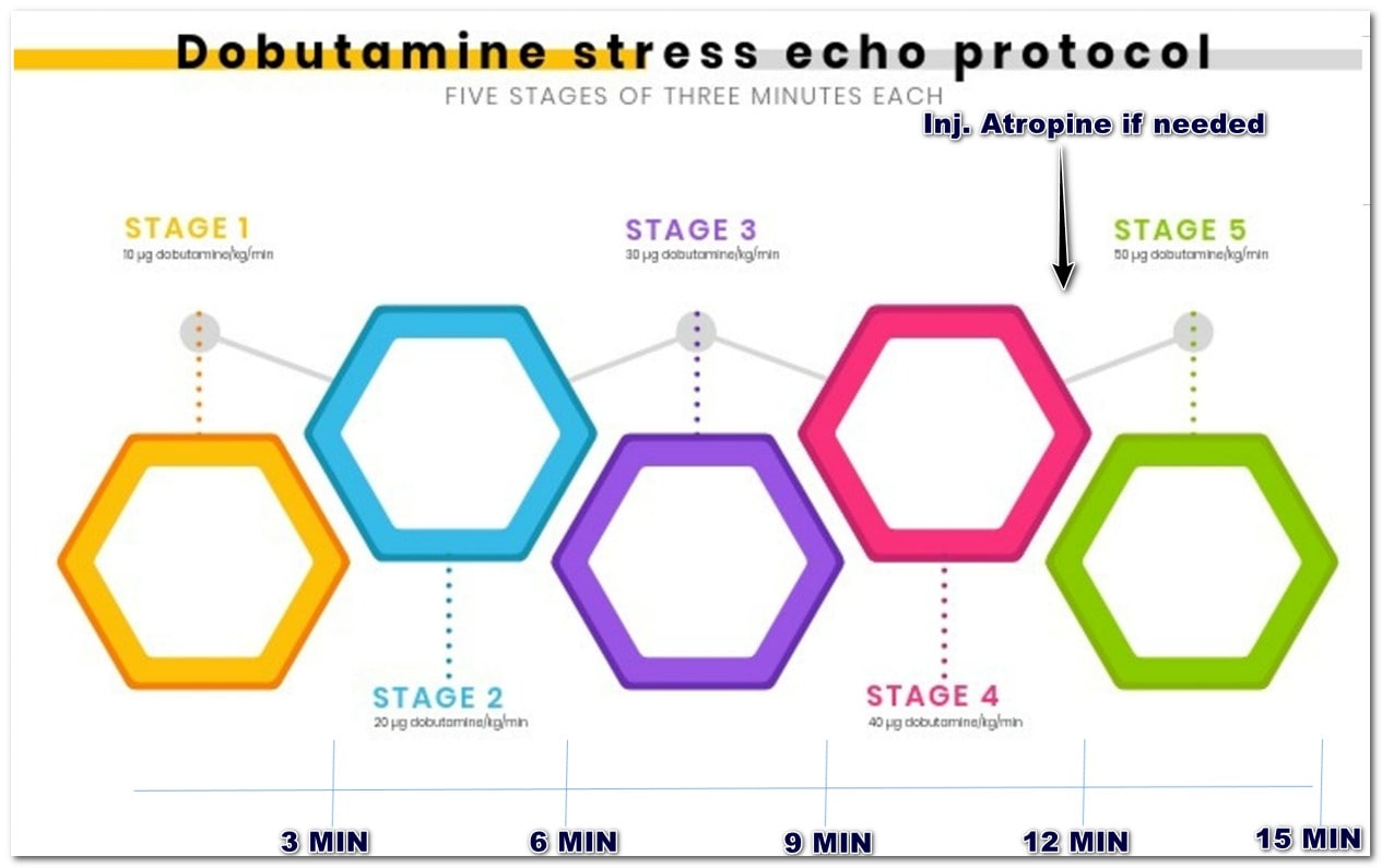 Dobutamine stress echo test protocol
