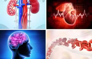 High Blood Pressure complications in Telugu | kidney diseases-heart diseases-brain stroke-blood vessel damage
