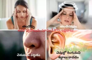 High Blood Pressure symptoms in Telugu | head ache-dizziness-sweating-tinnitus