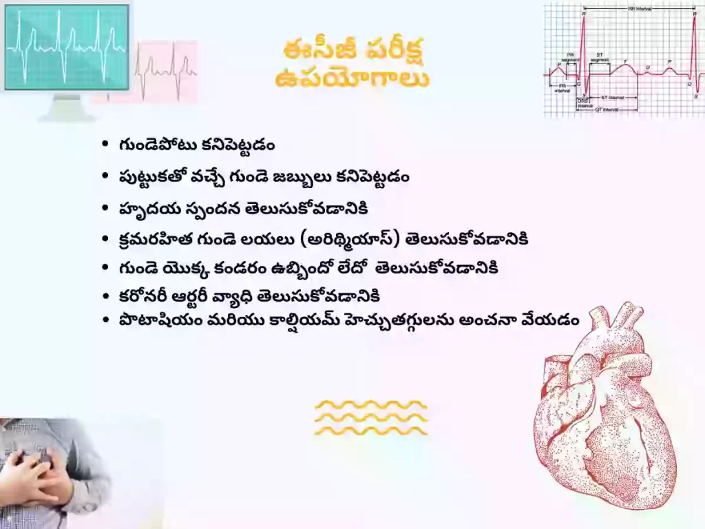 Why ecg test is done in Telugu language - infographic | ఈసీజీ ఎలాంటి పరిస్థితుల్లో చేస్తారు?