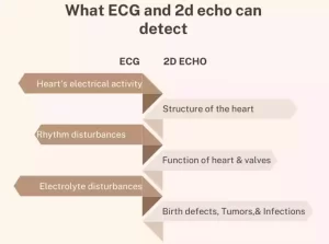 ECG and 2d echo difference | How they complement each other