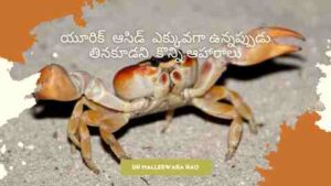 FOOD TO AVOID WHEN YOU HAVE GOUT OR HIGH URIC ACID IN TELUGU - SHELLFISH