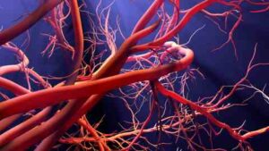 excess salt - Negative impact on blood vessels
