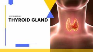THYROID GLAND - Is it safe to consume cabbage and cauliflower with hypothyroidism in Telugu