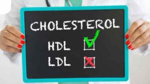 LDL AND HDL - TOP 10 FOODS TO RAISE HDL CHOLESTEROL IN TELUGU