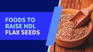flax seeds - TOP 10 FOODS TO RAISE HDL CHOLESTEROL IN TELUGU